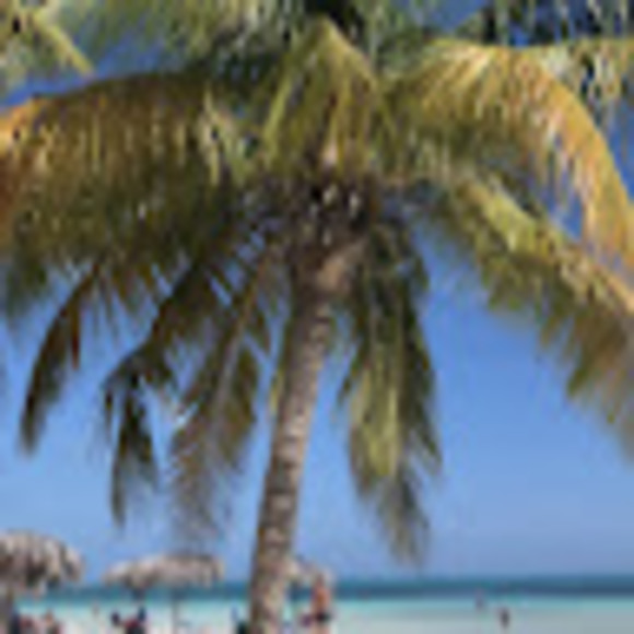 Meet your Posher, Melissa - Picture 1 of 1